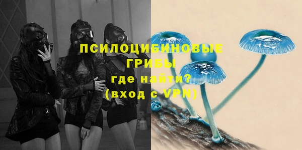 МДМА Новозыбков